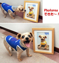 アトム君と優勝商品Photorea