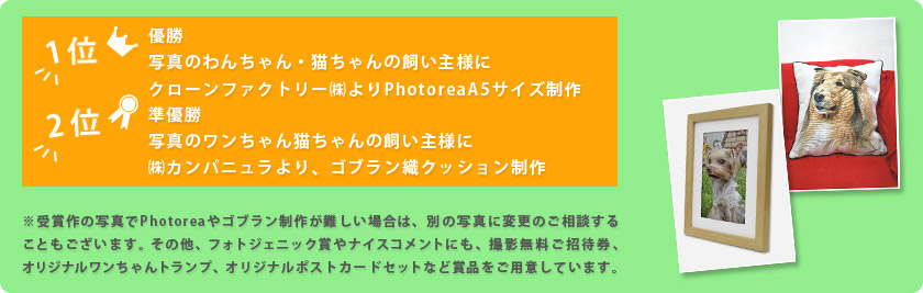 コンテストの概要