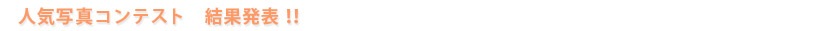 人気写真コンテスト結果発表!!