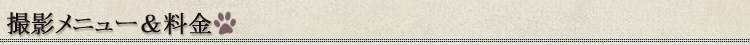 撮影メニュー＆料金