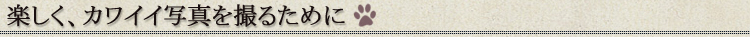 楽しくカワイイ写真を撮るために