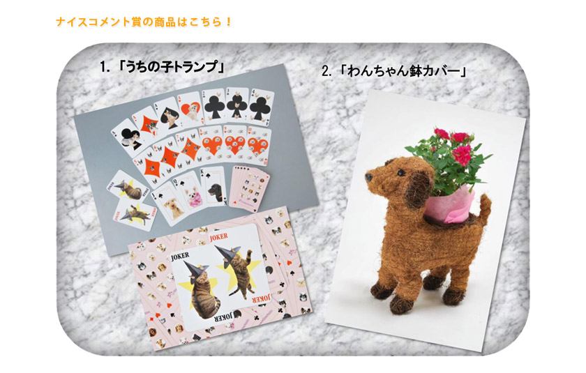 ナイスコメント賞賞品