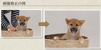 画像修正
