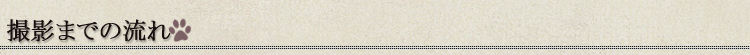 撮影までの流れ