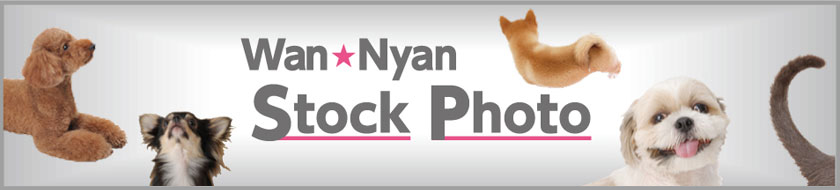 WanNyanStockphotoへはこちらから