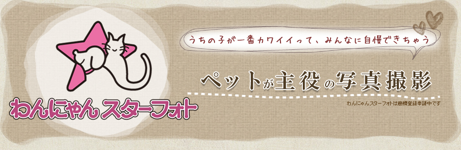 わんにゃんスターフォト うちの子が一番かわいいって、みんなに自慢できちゃう ペットが主役の写真撮影